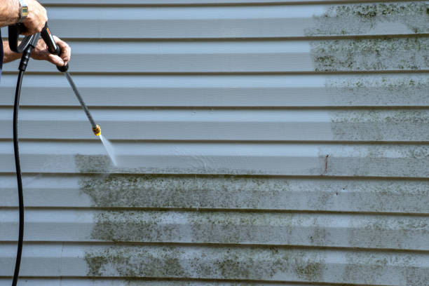 Best Brick Veneer Siding  in Liberty, NC
