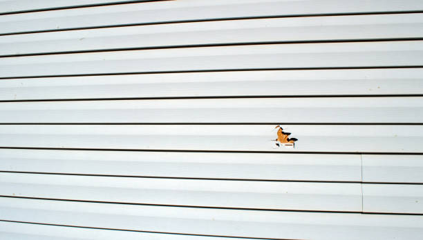 Storm Damage Siding Repair in Liberty, NC